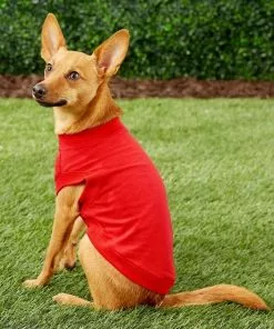 Frisco Basic Dog & Cat T-Shirt, Red + Teal -Pet Food Gear Shop 302650 PT3. SY630 V1623074841