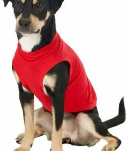 Frisco Basic T-Shirt, Red + Dog & Cat Hoodie, Red -Pet Food Gear Shop 302662 PT4. SY630 V1633128173