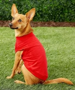Frisco Basic T-Shirt, Red + Dog & Cat Hoodie, Red -Pet Food Gear Shop 302662 PT6. SY630 V1633123628