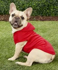Frisco Basic T-Shirt, Red + Dog & Cat Hoodie, Red -Pet Food Gear Shop 302662 PT7. SY630 V1633128453