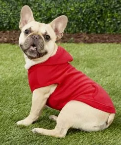 Frisco Basic T-Shirt, Red + Dog & Cat Hoodie, Red -Pet Food Gear Shop 302662 PT8. SY630 V1623091356