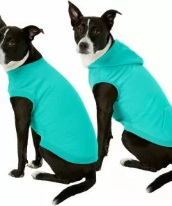 Frisco Basic T-Shirt, Teal + Dog & Cat Hoodie, Teal -Pet Food Gear Shop 302676 PT2. SY630 V1633127879