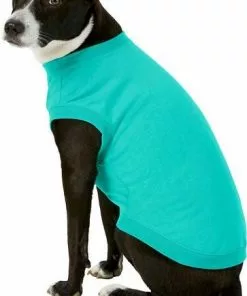 Frisco Basic T-Shirt, Teal + Dog & Cat Hoodie, Teal -Pet Food Gear Shop 302676 PT4. SY630 V1633123589