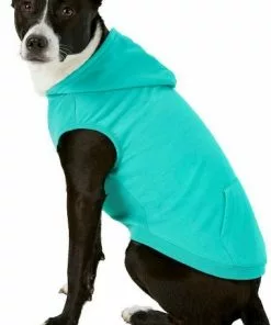 Frisco Basic T-Shirt, Teal + Dog & Cat Hoodie, Teal -Pet Food Gear Shop 302676 PT5. SY630 V1633126626