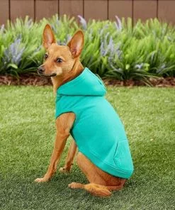 Frisco Basic T-Shirt, Teal + Dog & Cat Hoodie, Teal -Pet Food Gear Shop 302676 PT7. SY630 V1633123351