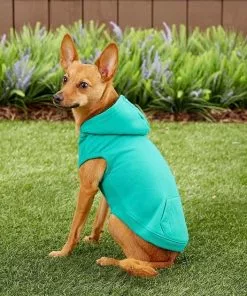 Frisco Basic T-Shirt, Teal + Dog & Cat Hoodie, Teal -Pet Food Gear Shop 302676 PT8. SY630 V1623057743