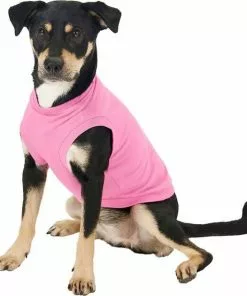 Frisco Dog & Cat Basic Hoodie + T-Shirt, Pink -Pet Food Gear Shop 302712 PT4. SY630 V1633064507