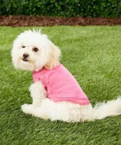 Frisco Dog & Cat Basic Hoodie + T-Shirt, Pink -Pet Food Gear Shop 302712 PT8. SY630 V1623046040
