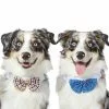 Frisco Plaid Dog & Cat Bow Tie, Orange & Blue + Blue -Pet Food Gear Shop 302770 MAIN. SY630 V1623034656