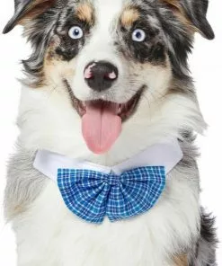 Frisco Plaid Dog & Cat Bow Tie, Orange & Blue + Blue 14 Frisco Plaid Dog & Cat Bow Tie, Orange & Blue + Blue -Pet Food Gear Shop 302770 PT4. SY630 V1623039753