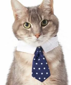 Frisco Plaid Dog & Cat Bow Tie, Orange & Blue + Polka Dot, Navy -Pet Food Gear Shop 302784 PT5. SY630 V1623037952