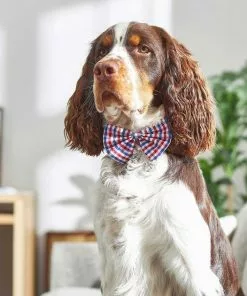 Frisco Plaid Dog & Cat Bow Tie, Red & Blue + Orange & Blue -Pet Food Gear Shop 302786 PT4. SY630 V1623046640