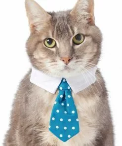 Frisco Plaid Dog & Cat Neck Tie, Blue Plaid + Polka Dot, Teal -Pet Food Gear Shop 302794 PT5. SY630 V1623084751