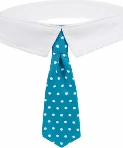 Frisco Plaid Dog & Cat Neck Tie, Blue Plaid + Polka Dot, Teal -Pet Food Gear Shop 302794 PT6. SY630 V1623080240