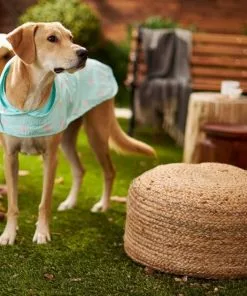 Frisco Rainy Days + Rubber Ducky Dog Raincoat -Pet Food Gear Shop 302838 PT7. SY630 V1623090458