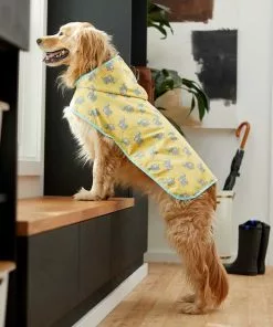 Frisco Rubber Ducky + Elephants Dog Raincoat -Pet Food Gear Shop 302878 PT7. SY630 V1623071244