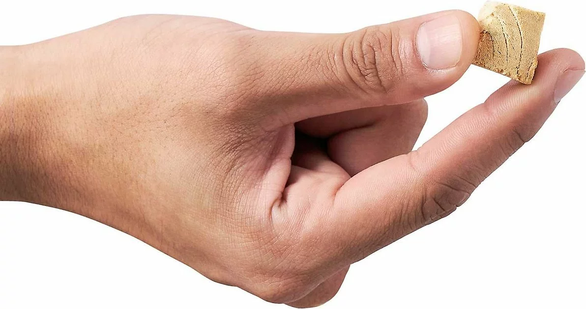 Frisco||American Journey Frisco Top Loading Kennel + American Journey 100% Chicken Freeze-Dried Grain-Free Cat Treats 11 Frisco||American Journey Frisco Top Loading Kennel + American Journey 100% Chicken Freeze-Dried Grain-Free Cat Treats - Image 9