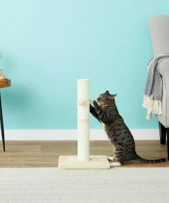 Frisco 21-in Sisal Scratching Post with Toy, Cream + Felt Removable Hood Cave Cat & Dog Covered Bed, Brown 13 Frisco 21-in Sisal Scratching Post with Toy, Cream + Felt Removable Hood Cave Cat & Dog Covered Bed, Brown -Pet Food Gear Shop 303320 PT3. SY630 V1623051757