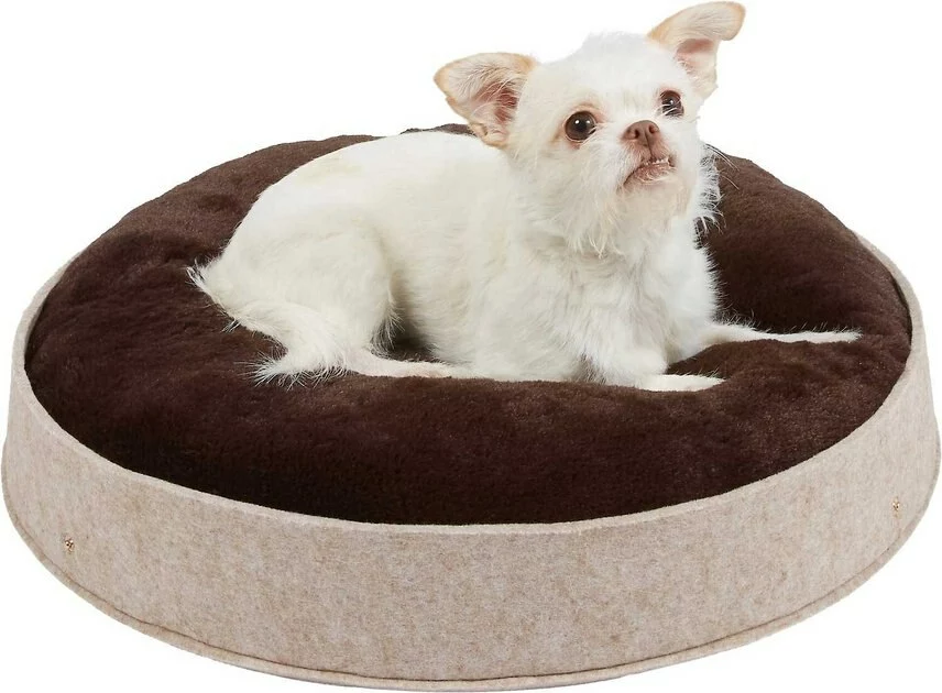 Frisco 21-in Sisal Scratching Post with Toy, Cream + Felt Removable Hood Cave Cat & Dog Covered Bed, Brown 9 Frisco 21-in Sisal Scratching Post with Toy, Cream + Felt Removable Hood Cave Cat & Dog Covered Bed, Brown - Image 7