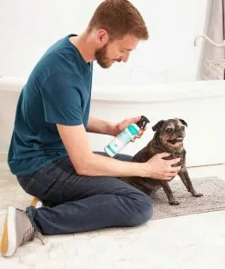 Frisco Aloe Hydrating Spray, 12-oz bottle + Oatmeal Shampoo with Aloe for Dogs & Cats, Almond Scent -Pet Food Gear Shop 303372 PT3. SY630 V1623046355