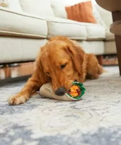 Frisco Cactus Cat Scratching Post, 22-in + Plush Squeaking Burrito Dog Toy -Pet Food Gear Shop 303376 PT6. SY630 V1623079956