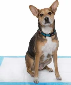 Frisco Heavy Duty Fold & Carry Double Door Collapsible Wire Crate & Mat Kit, + Extra Large Dog Training & Potty Pads, 28 x 34-in, 150 count, Unscented -Pet Food Gear Shop 303458 PT5. SY630 V1623166972