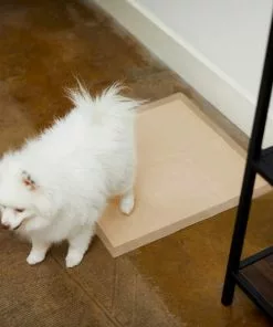 Frisco Refill Poop Bags, Scented, 120 count + Eco-Conscious Dog Training & Potty Pads, 22 x 23-in, 50 count, Unscented -Pet Food Gear Shop 303542 PT8. SY630 V1623080862