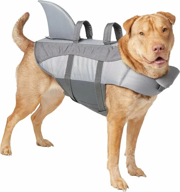 Frisco||KONG Frisco Shark Life Jacket + KONG Aqua Dog Toy, Large 4 Frisco||KONG Frisco Shark Life Jacket + KONG Aqua Dog Toy, Large - Image 2