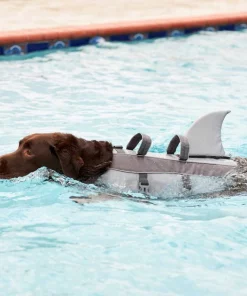 Frisco||KONG Frisco Shark Life Jacket + KONG Aqua Dog Toy, Medium 15 Frisco||KONG Frisco Shark Life Jacket + KONG Aqua Dog Toy, Medium -Pet Food Gear Shop 303588 PT4. SY630 V1623060745