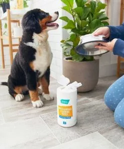 Frisco Stainless Steel Bowl, 4.75-cup, 2 count + Pet Toy & Bowl Cleaning Wipes 15 Frisco Stainless Steel Bowl, 4.75-cup, 2 count + Pet Toy & Bowl Cleaning Wipes -Pet Food Gear Shop 303622 PT6. SY630 V1623041554