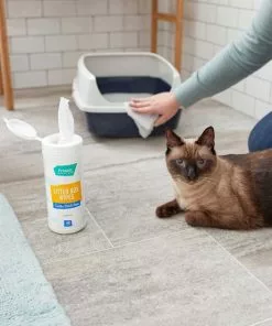 Litter-Robot||Frisco Litter-Robot WiFi Enabled Automatic Self-Cleaning Cat Litter Box, Grey + Frisco Litter Box Cleaning Wipes -Pet Food Gear Shop 303694 PT7. SY630 V1623068853