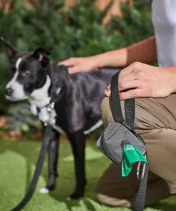 Ubbi||Frisco Ubbi On-The-Go Wipes Dispenser + Frisco Dog Poop Bags with Fabric Dispenser, 30 count, Gray -Pet Food Gear Shop 303764 PT8. SY630 V1623057451