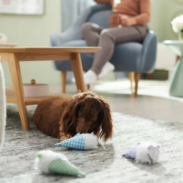 Frisco Easter Gnomes Plush Squeaky Dog Toy, 3 count 5 Frisco Easter Gnomes Plush Squeaky Dog Toy, 3 count - Image 3