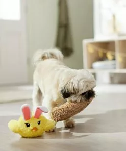 Frisco Easter Chick in Nest 2-in-1 Plush Squeaky Dog Toy -Pet Food Gear Shop 304962 PT3. SY630 V1642440902