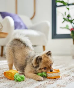 Frisco Easter Carrot Plush Squeaky Dog Toy, 2 pack -Pet Food Gear Shop 306954 PT3. SY630 V1642441051