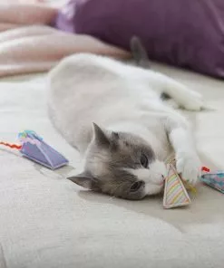 Frisco Easter Party Hat Kickers Cat Toy with Catnip, 3 count -Pet Food Gear Shop 306960 PT3. SY630 V1642440777