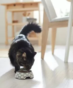 Frisco Moroccan Design Stainless Steel Dog & Cat Bowl -Pet Food Gear Shop 311963 PT3. SY630 V1642542386