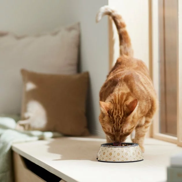 Frisco Circle Design Stainless Steel Dog & Cat Bowl 6 Frisco Circle Design Stainless Steel Dog & Cat Bowl - Image 4