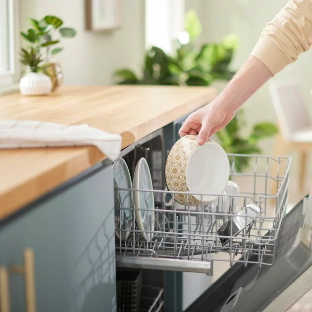 Frisco Circle Design Stainless Steel Dog & Cat Bowl 10 Frisco Circle Design Stainless Steel Dog & Cat Bowl - Image 8