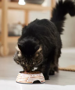 Frisco Copper Print Design Stainless Steel Dog & Cat Bowl -Pet Food Gear Shop 311975 PT3. SY630 V1642542357