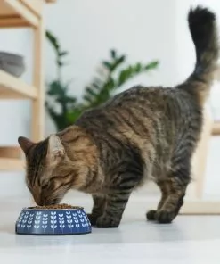 Frisco Leaf Design Stainless Steel Dog & Cat Bowl, Blue -Pet Food Gear Shop 311979 PT3. SY630 V1642542946