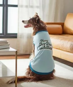 Frisco Here For The Cuddles Dog & Cat T-Shirt -Pet Food Gear Shop 312024 PT8. SY630 V1644448378