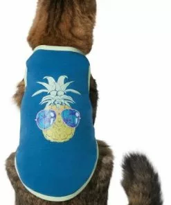 Frisco Pineapple Guy Dog & Cat T-Shirt -Pet Food Gear Shop 312040 PT2. SY630 V1644446201