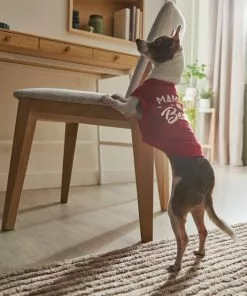 Frisco Mama's Bestie Dog & Cat T-Shirt -Pet Food Gear Shop 312056 PT8. SY630 V1644425515