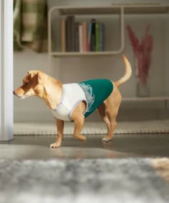 Frisco Tropical Palm Dog & Cat T-Shirt -Pet Food Gear Shop 312072 PT8. SY630 V1644425897