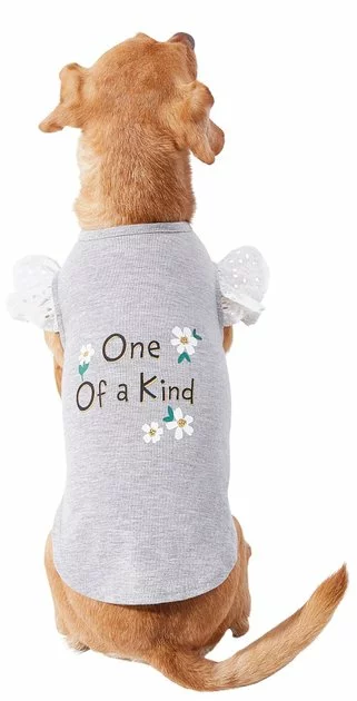 Frisco One of a Kind Dog & Cat T-Shirt 3 Frisco One of a Kind Dog & Cat T-Shirt