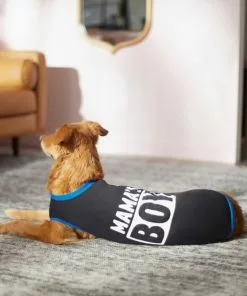 Frisco Mama's Boy Dog & Cat T-Shirt -Pet Food Gear Shop 312088 PT8. SY630 V1644425293