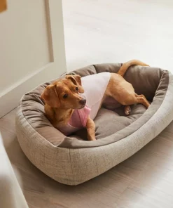 Frisco Mama's Girl Dog & Cat T-Shirt -Pet Food Gear Shop 312096 PT8. SY630 V1644427093