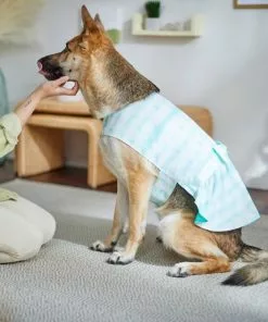 Frisco Green Tie Dye Dog & Cat Dress -Pet Food Gear Shop 312104 PT8. SY630 V1644424641