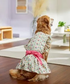 Frisco Dainty Pink Floral Dog & Cat Dress -Pet Food Gear Shop 312136 PT8. SY630 V1644531784